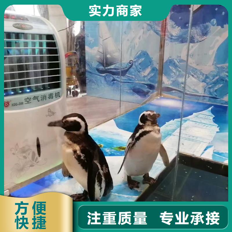 海洋展租赁海洋馆