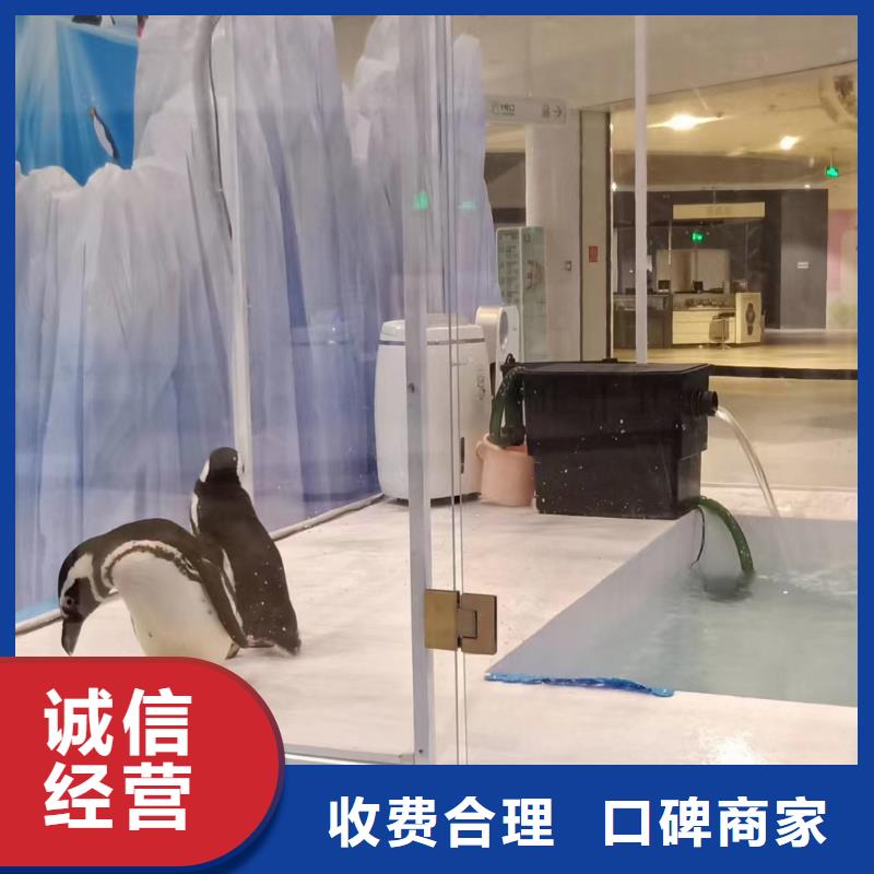 哪有出租海洋展的