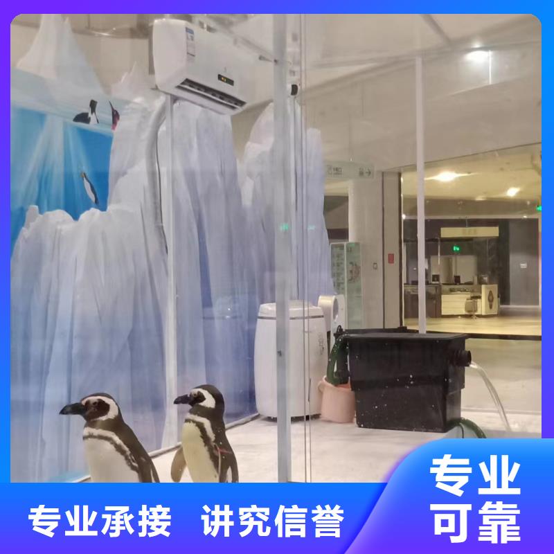 海洋主题动物表演_动物表演齐全