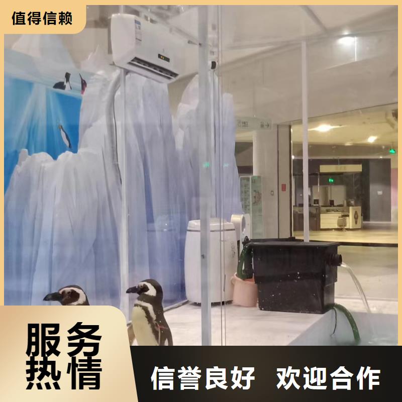 海洋展出租