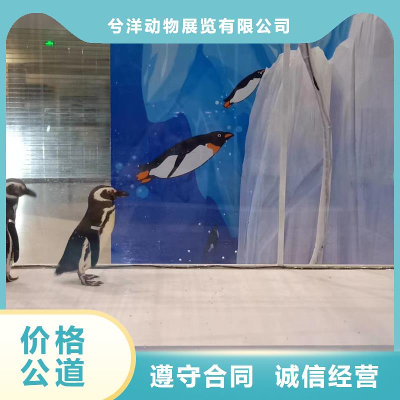 海洋生物展出租活跃气氛