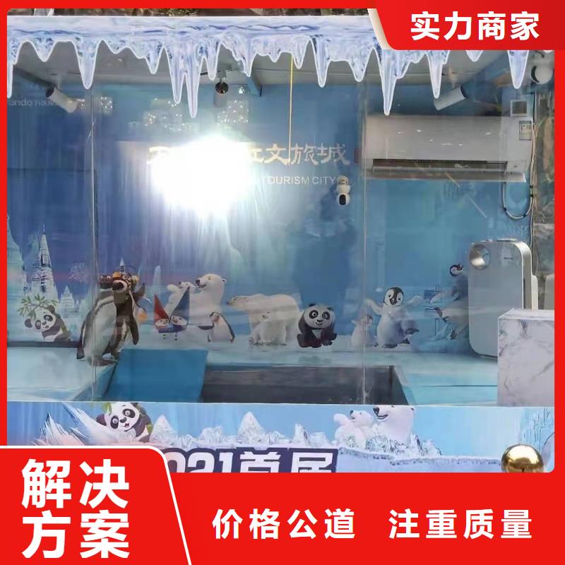 海狮表演出租