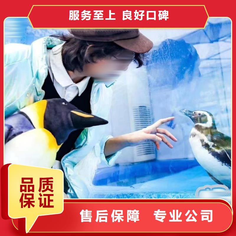 美人鱼表演出租主题展览