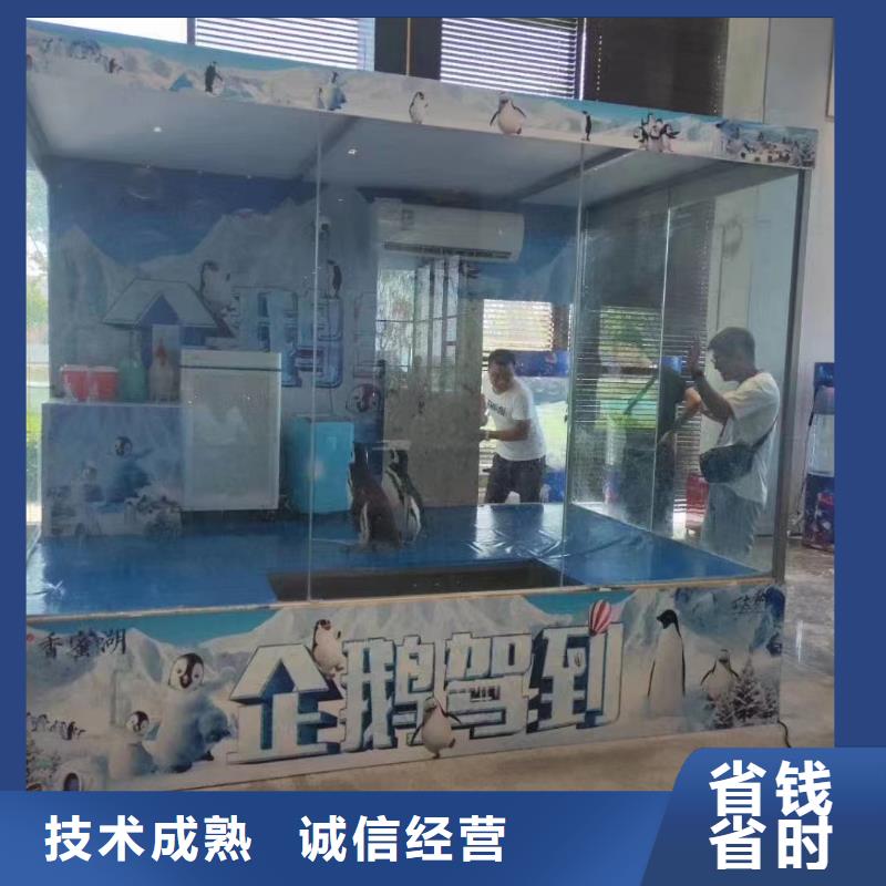 海洋展租赁海洋馆