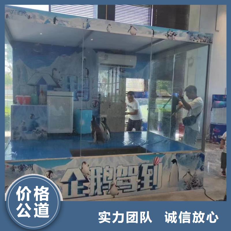 海洋生物展出租公司活动方案