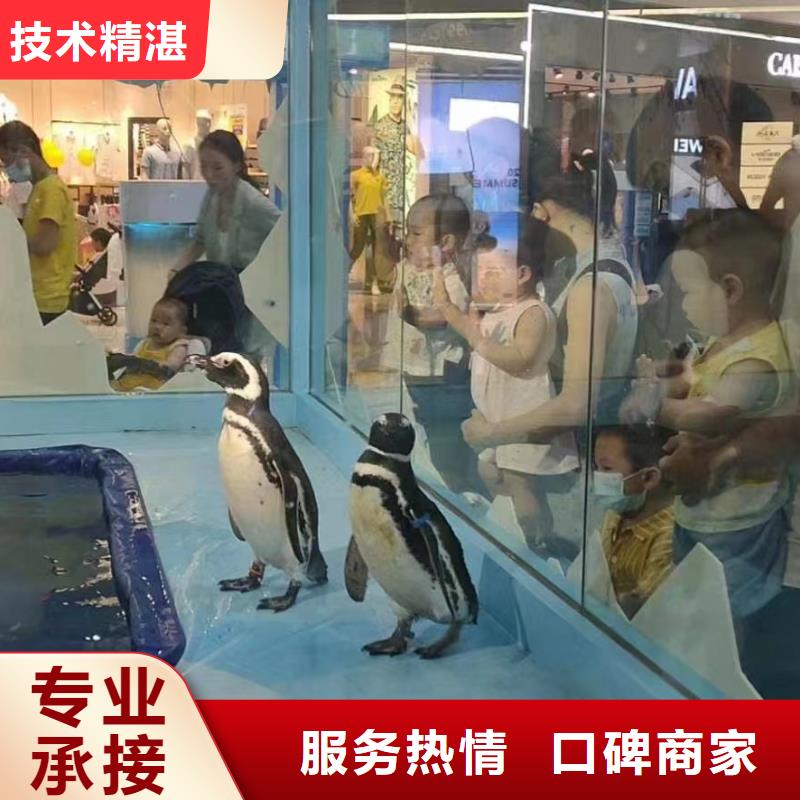 海洋生物展出租