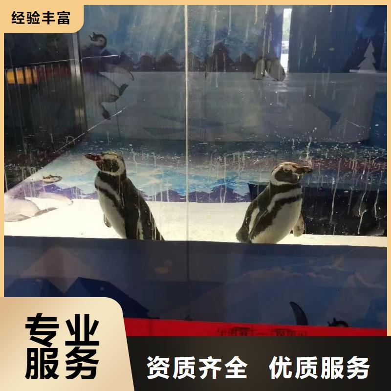 海洋生物展出租活动图片