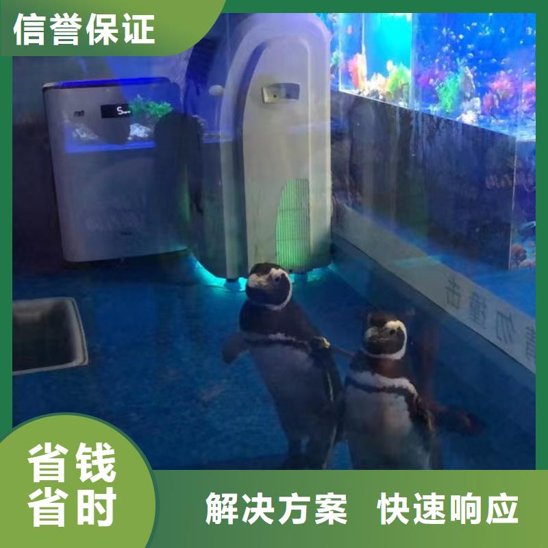 海洋展出租联系方式