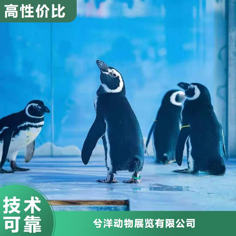 海洋展租赁