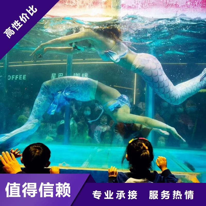 哪里有租赁海狮表演的庆典活动