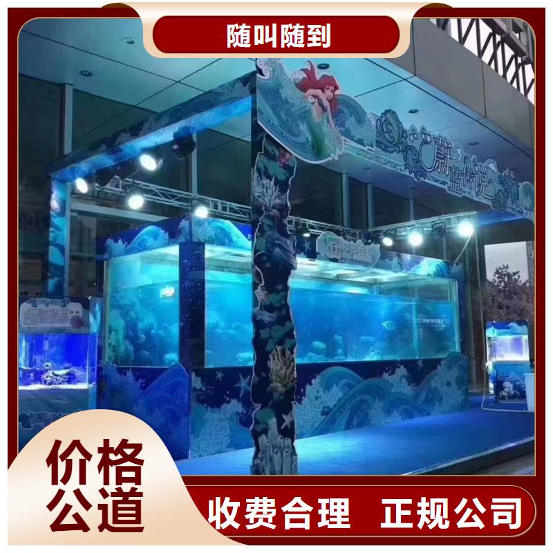 企鹅租赁公司
