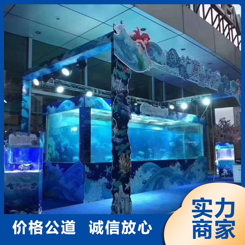 海洋主题动物表演_动物表演齐全