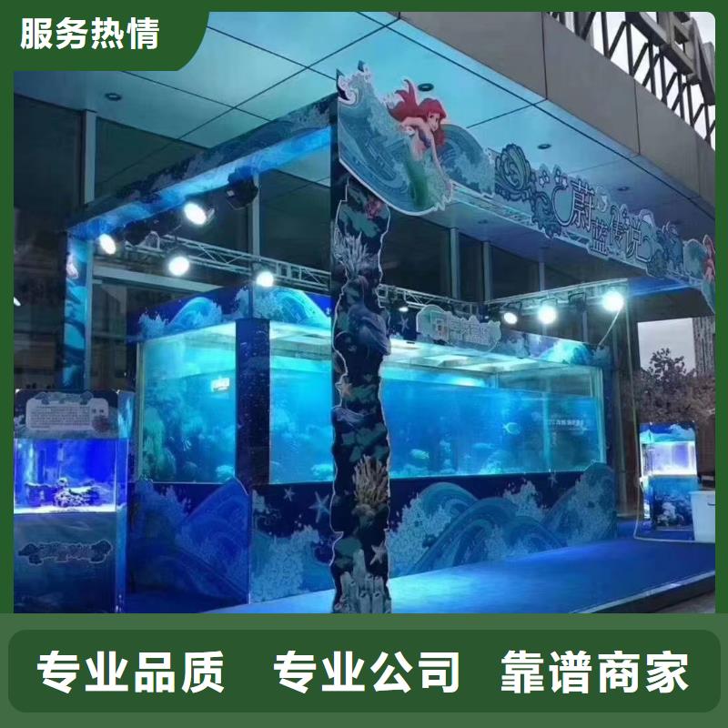 海洋主题动物表演出租表演羊驼放心