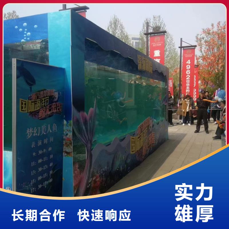 活体企鹅出租联系电话