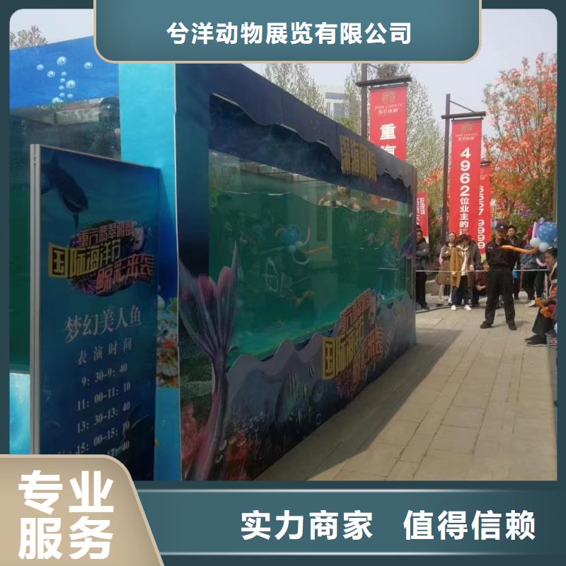 海洋生物鱼缸展出租全国承接