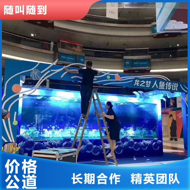 租赁海狮表演节日活动