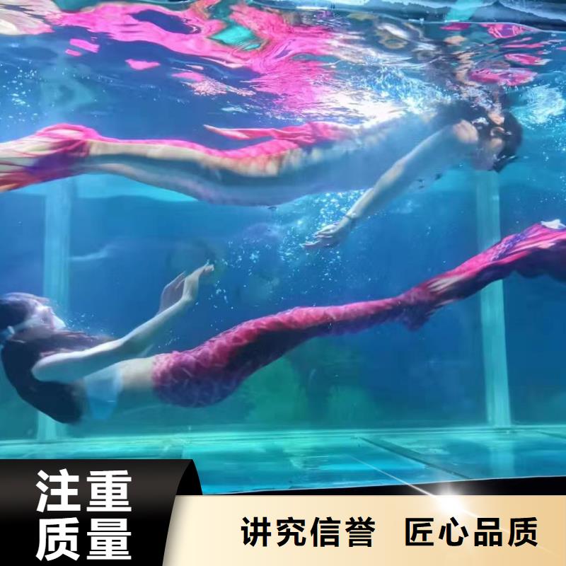 哪里有租赁海狮表演的庆典活动