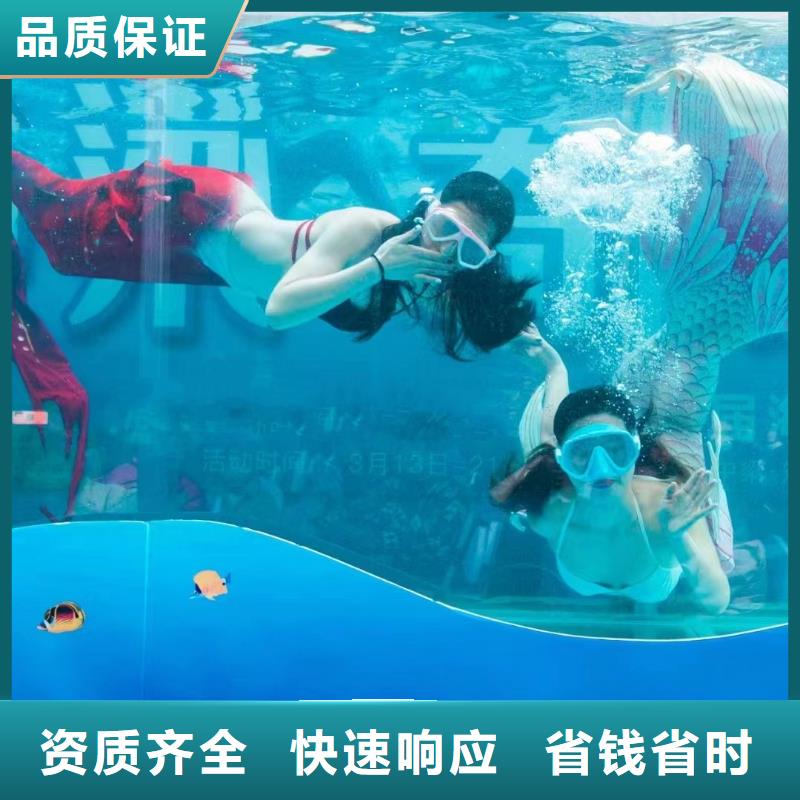 海狮表演电话
