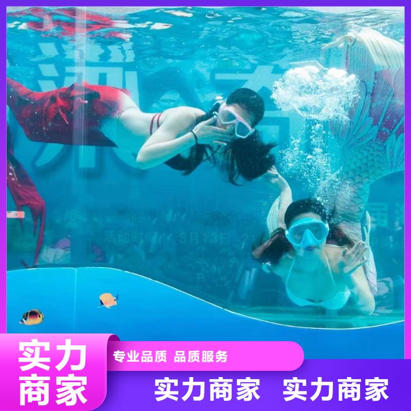 【海洋主题动物表演】羊驼出租高品质