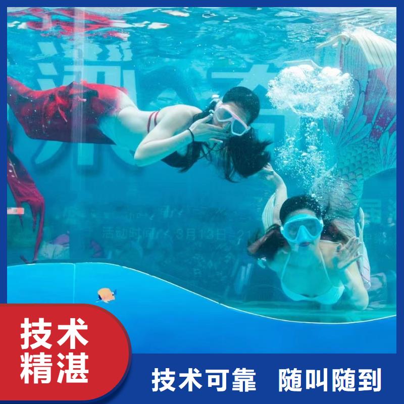 海洋主题动物表演马戏团表演出租注重质量