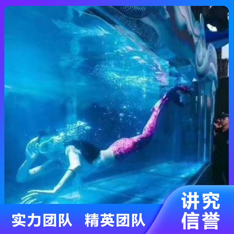 哪有出租企鹅的公司