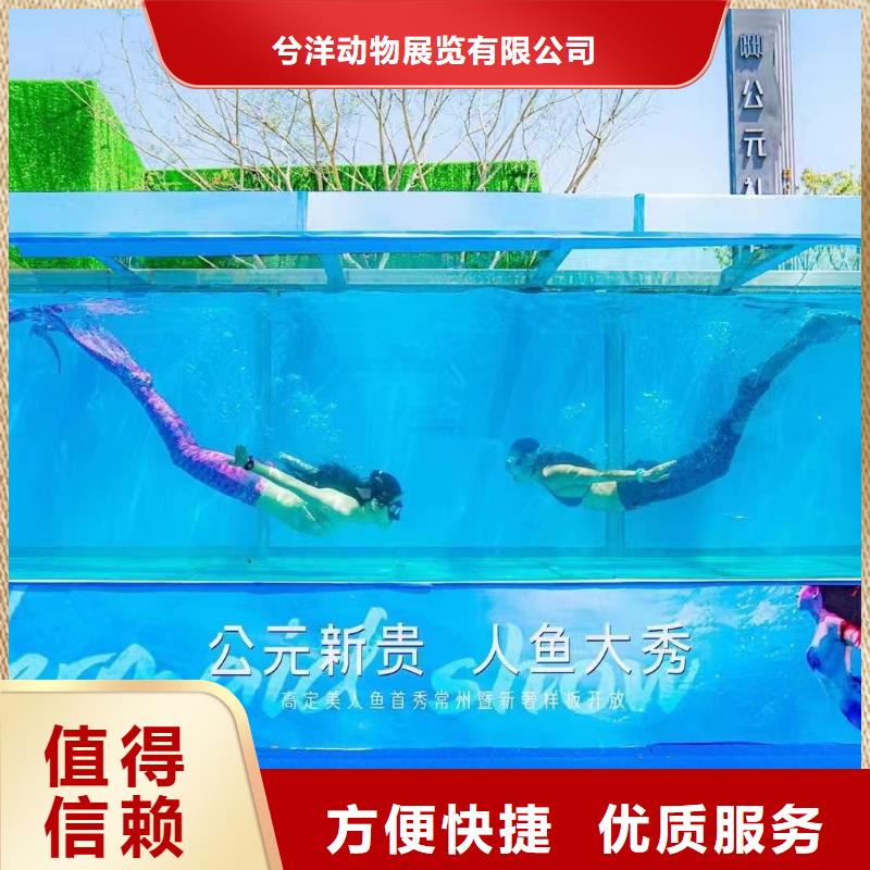 租赁企鹅公司哪里有