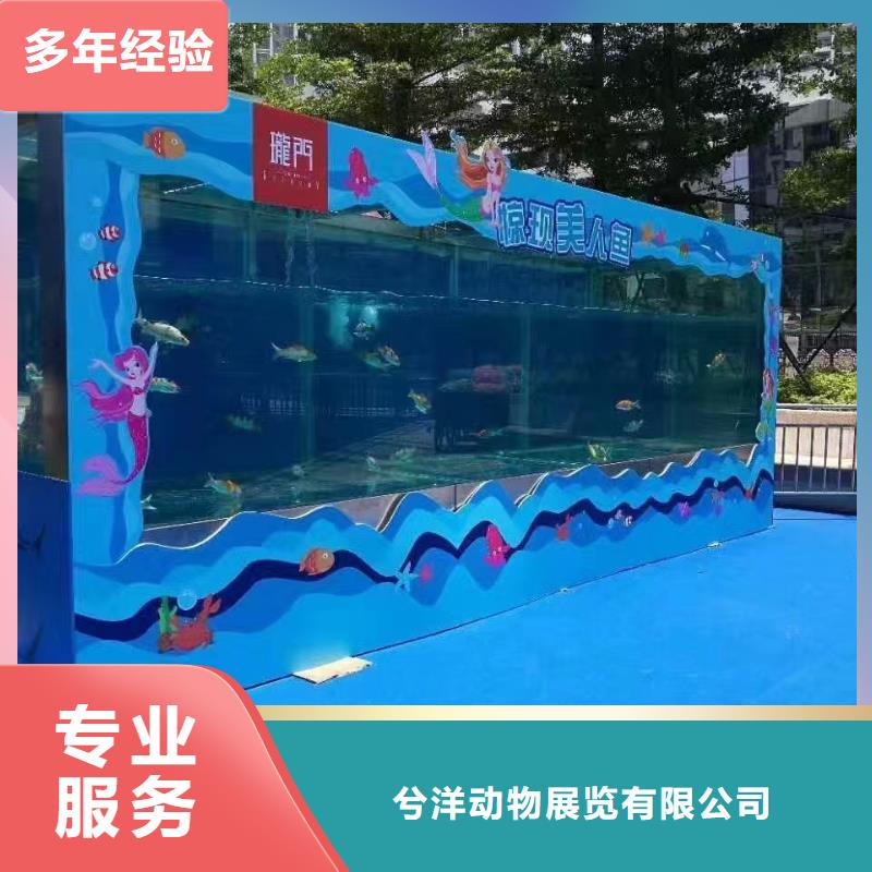 海洋展租赁-品牌厂家