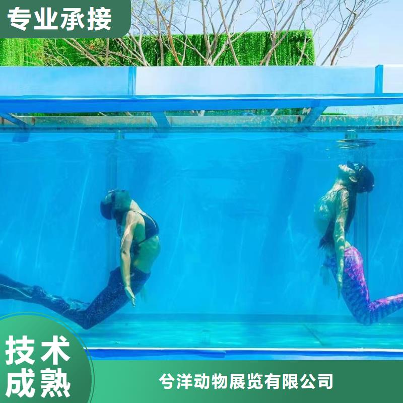 海洋主题动物表演【出租表演海狮】免费咨询