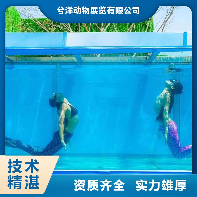 海狮表演出租