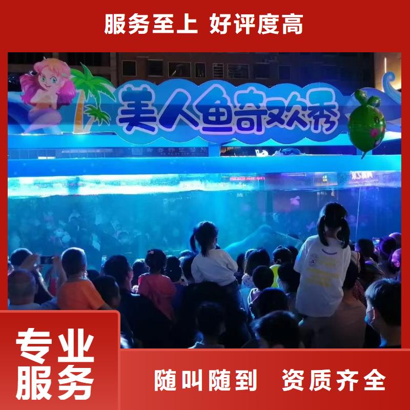 海狮表演租赁品质为本