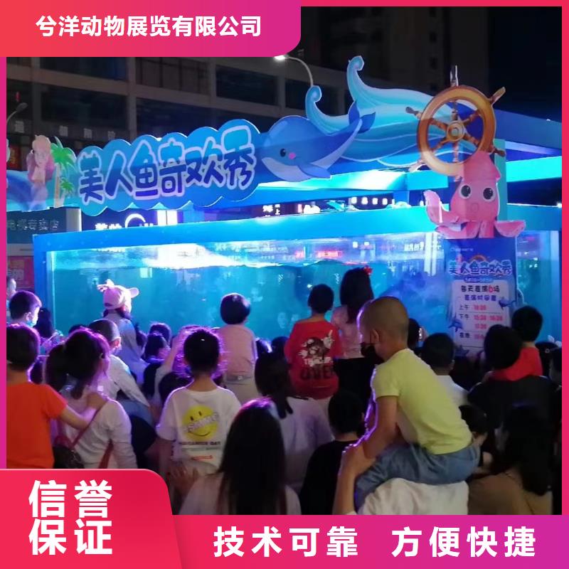 美人鱼表演出租哪里有