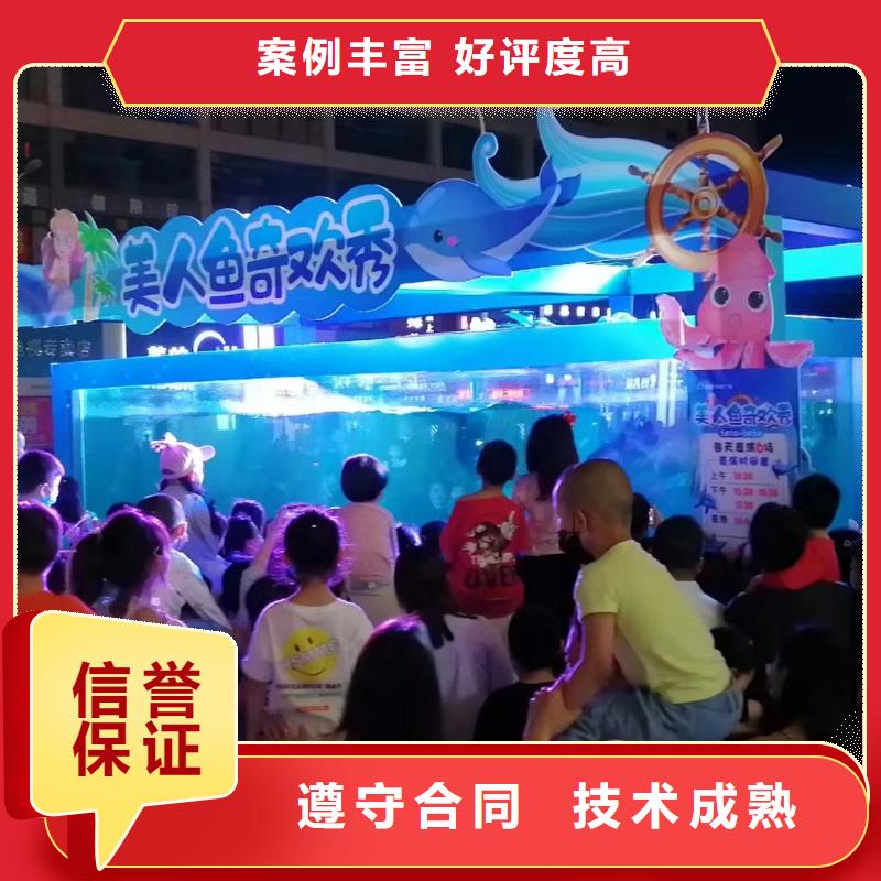 海洋主题动物表演【出租表演海狮】免费咨询