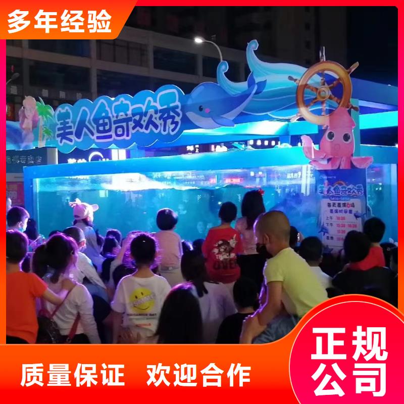 海洋主题动物表演出租表演羊驼专业承接