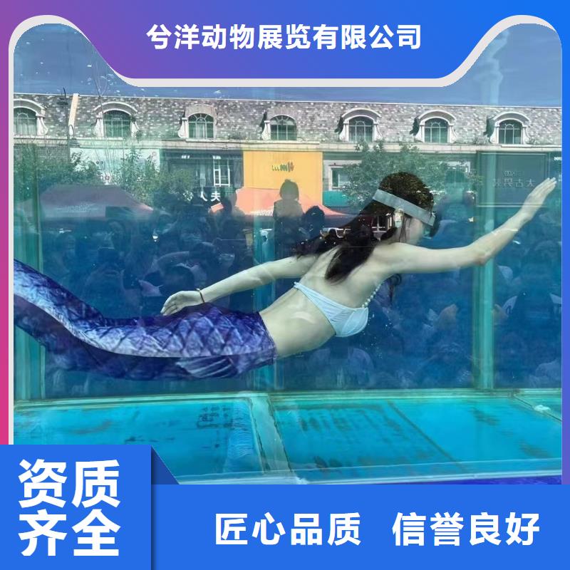 鳄鱼表演出租活动图片