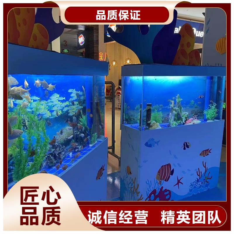 海狮表演出租海洋馆
