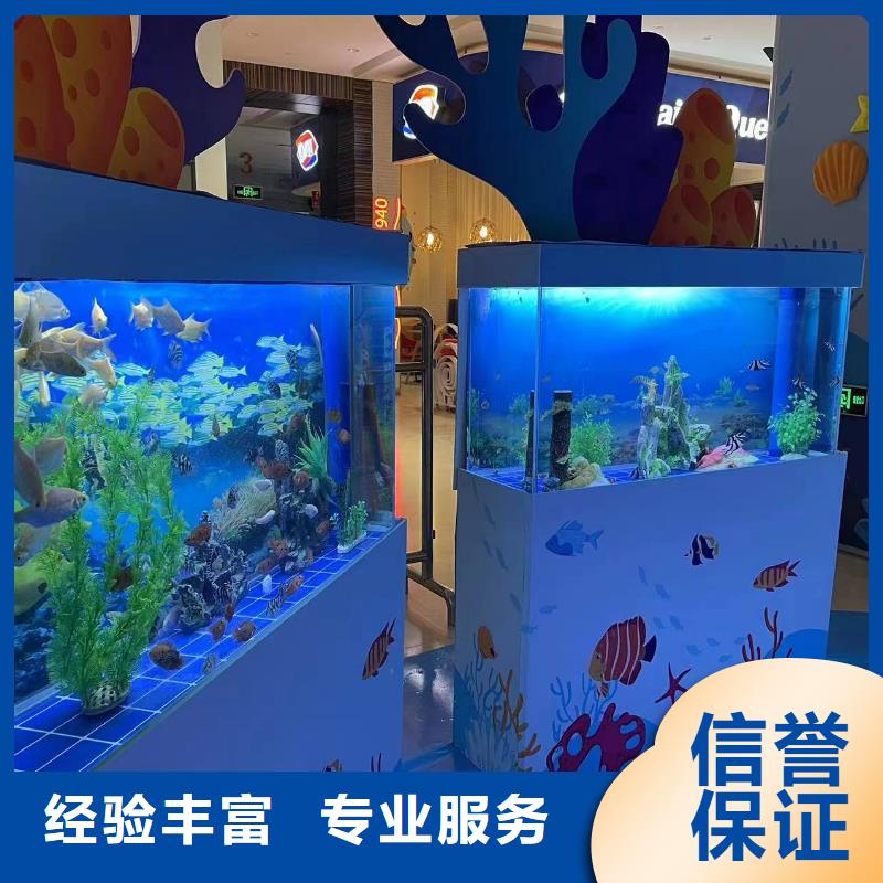 出租海洋生物展质量可靠