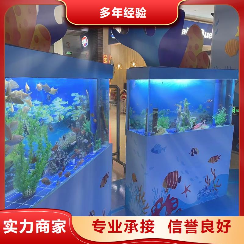 哪里有出租海狮表演的免费资源