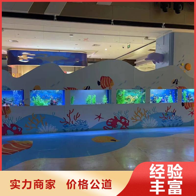 海洋主题动物表演,马戏团表演实力商家