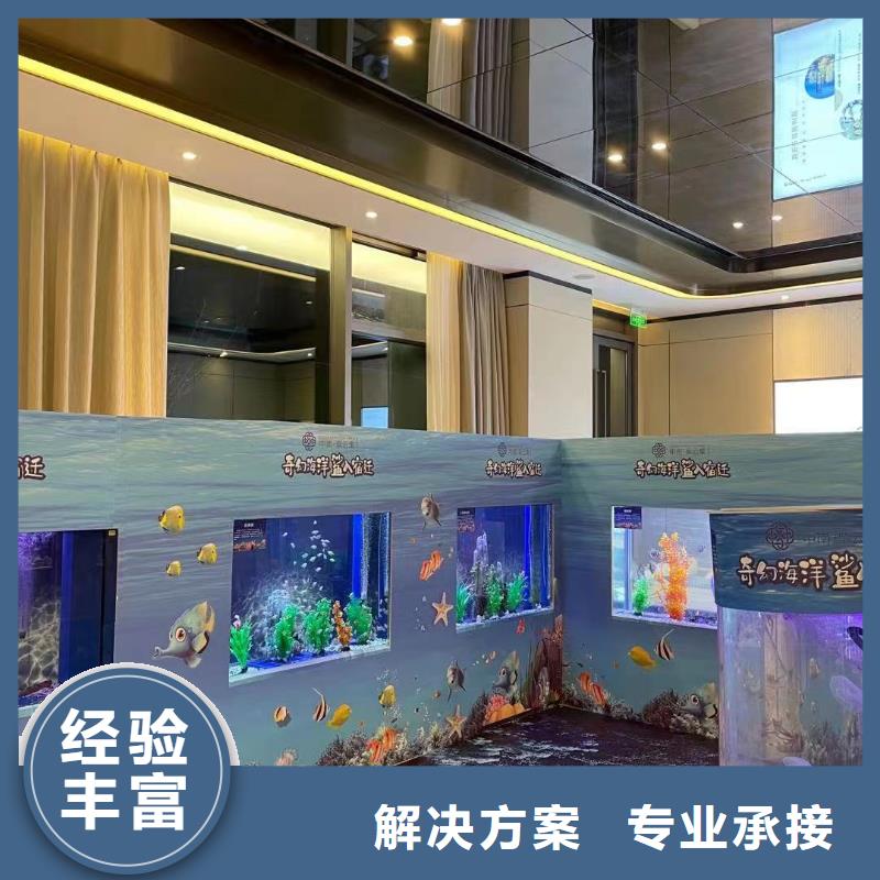 海洋主题动物表演【出租表演海狮】免费咨询