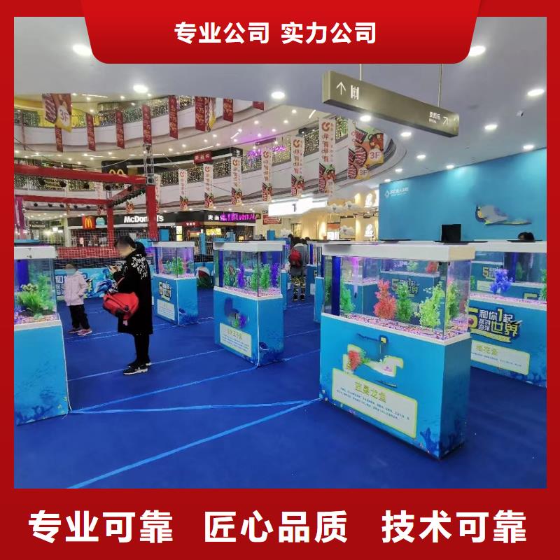 哪里有出租海狮表演的免费资源