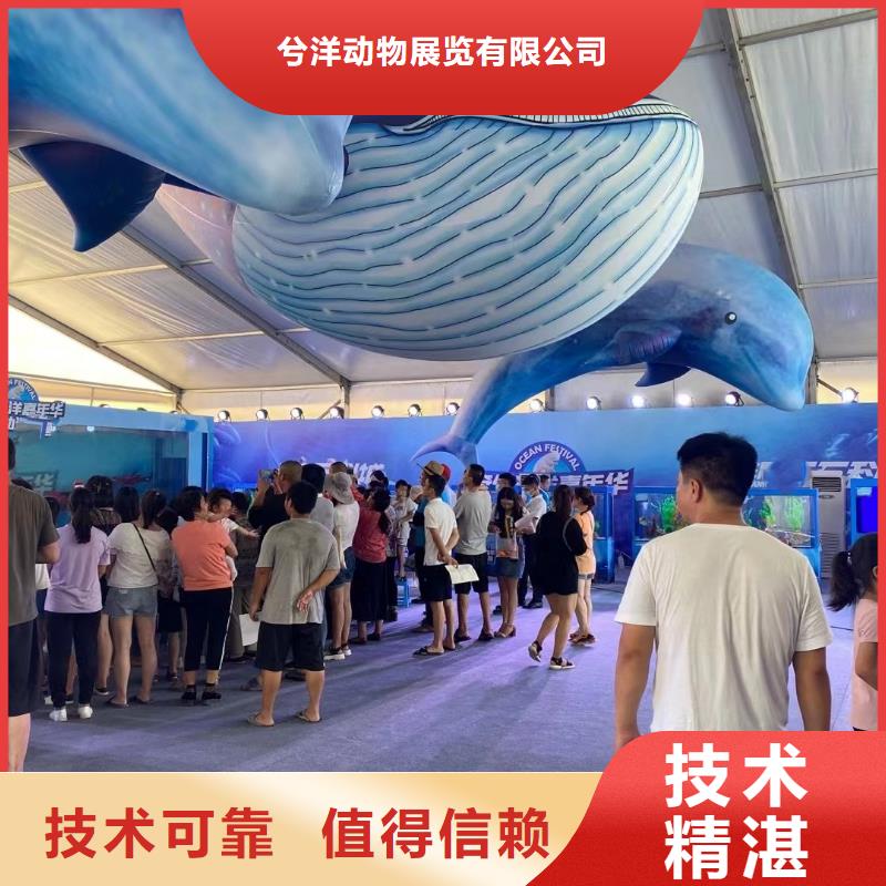 美人鱼表演出租图片