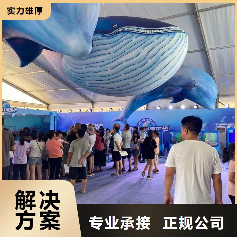 哪有出租美人鱼表演的丰富多彩
