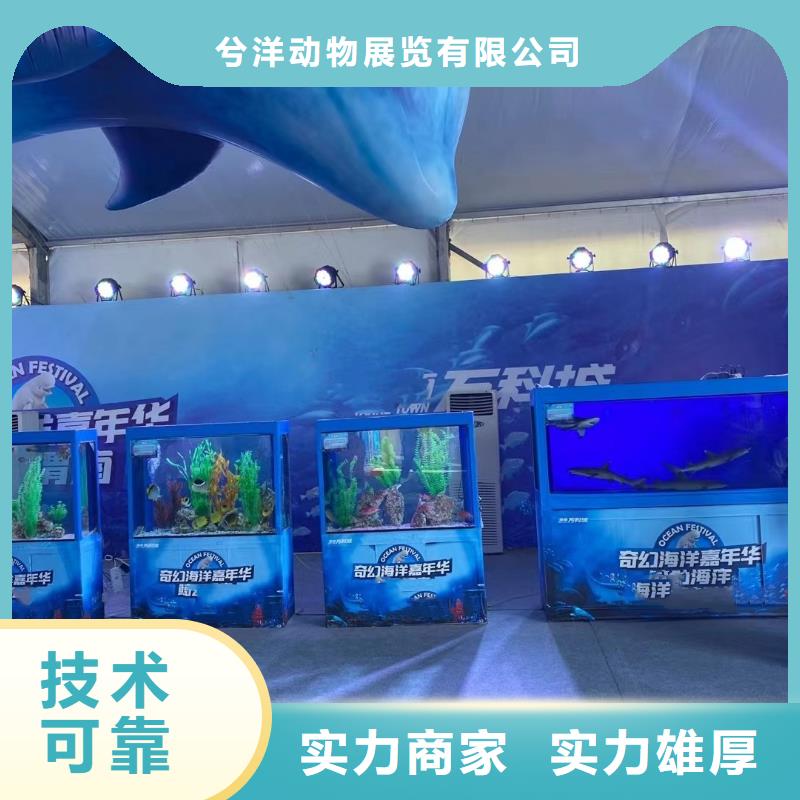 美人鱼表演出租一手资源