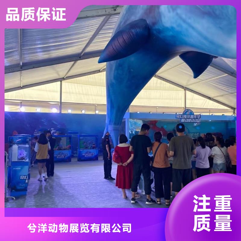 海洋生物展出租