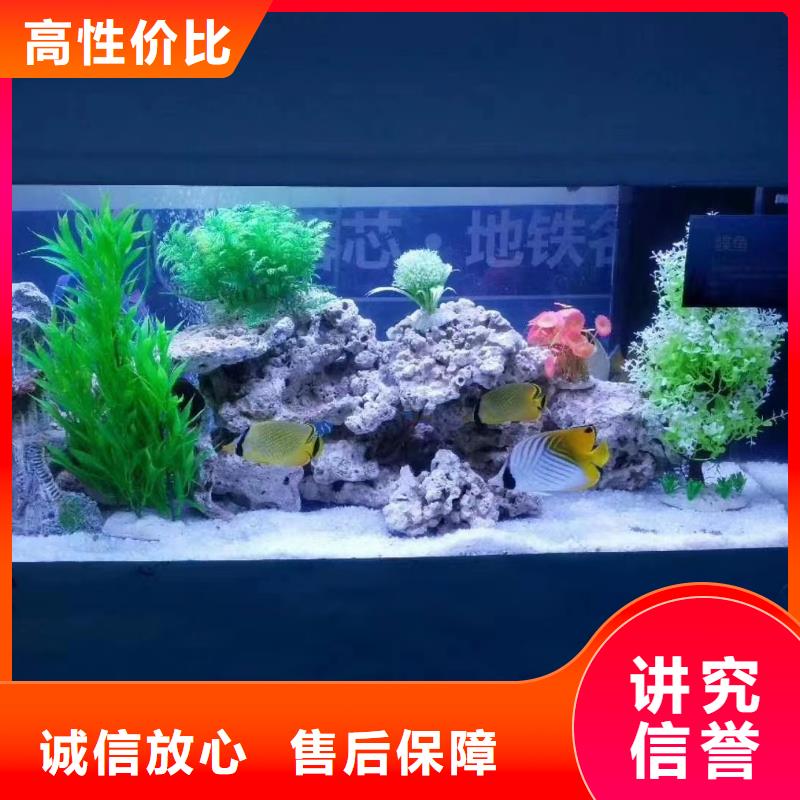 海洋展出租联系方式