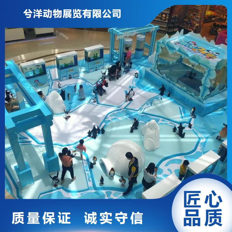 租赁企鹅公司哪里有