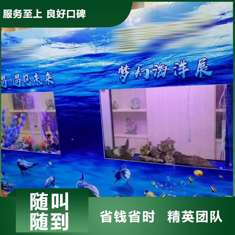 海洋主题动物表演鹦鹉表演正规公司
