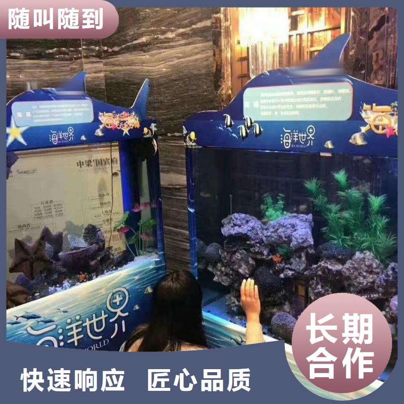海洋主题动物表演出租表演羊驼专业承接