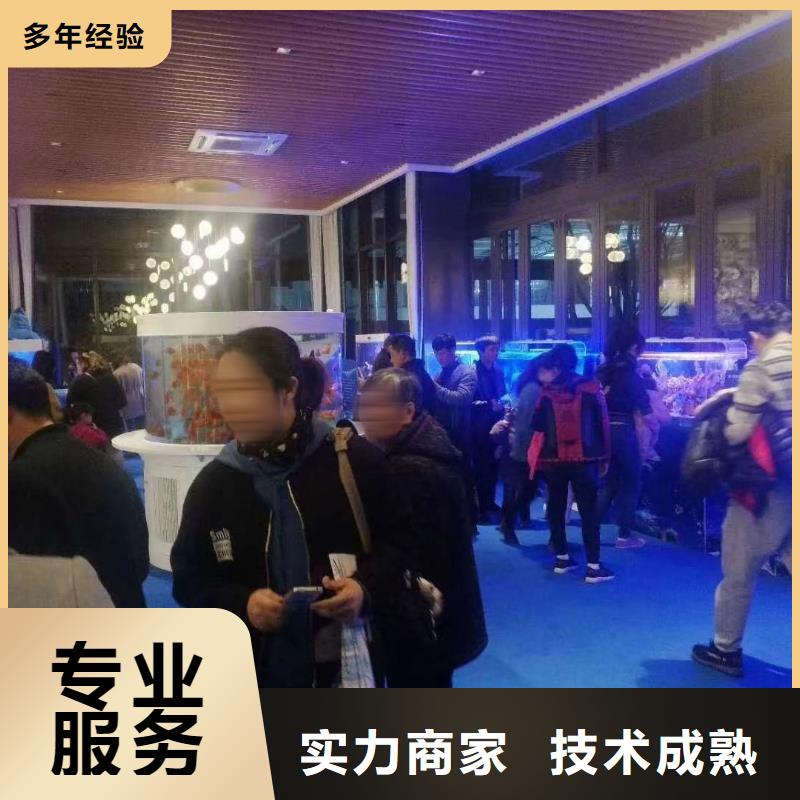 企鹅租赁公司
