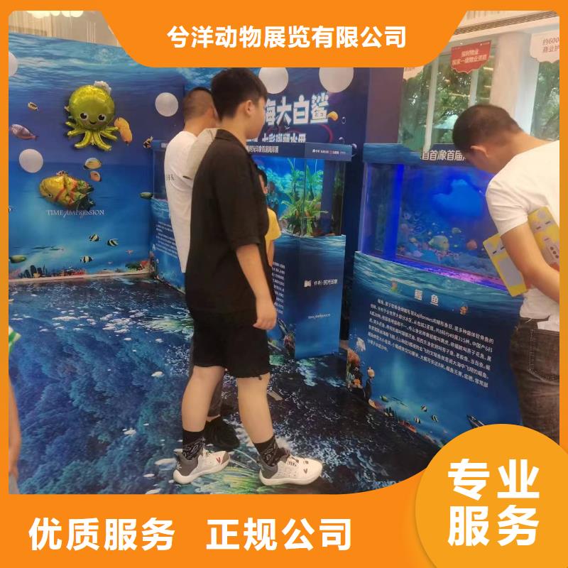 海洋主题动物表演_【海狮表演出租】诚信